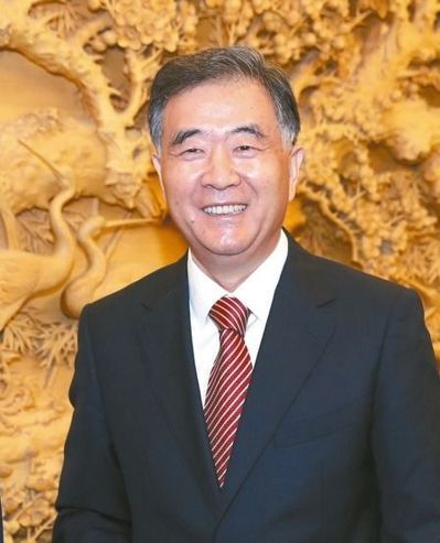大陸國務院副總理汪洋。 中新社